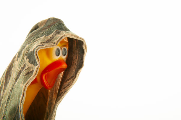 image of rubber chicken camouflage textile white background studio