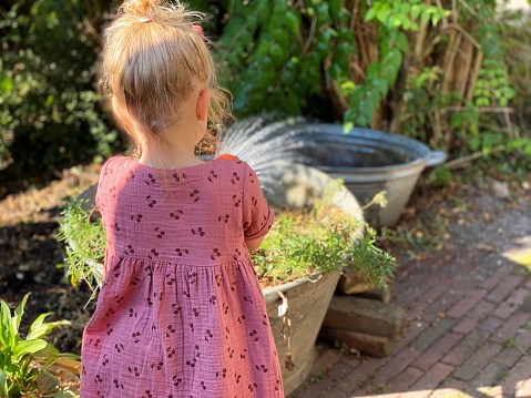 Toddler girl is sprinkling the garden on a warm summer day
