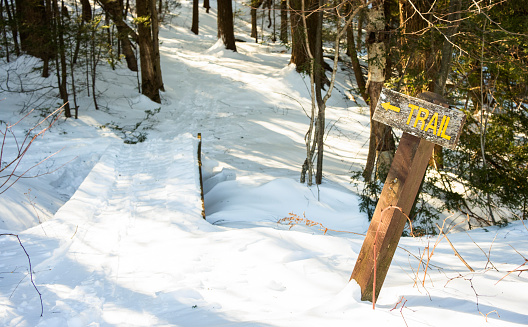 Sign indicating a trail running through a snow covered forest on a sunny day in winter