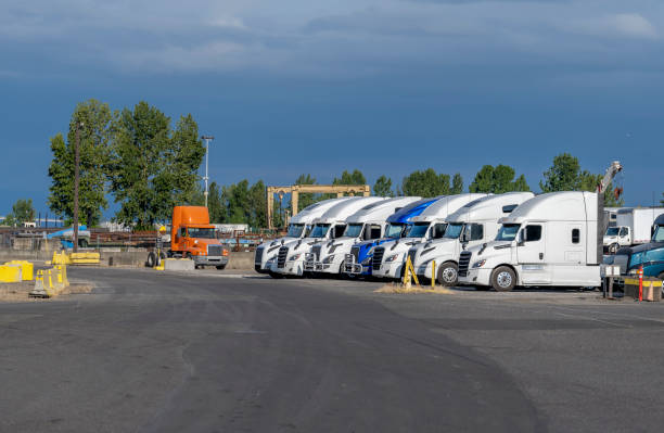Colorado Cheap Movers Cost