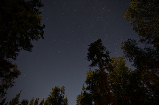 A close in long exposure of the starry night above Rushing River Provincial Park in Ontario. A plane is visible flying across the night sky. The big dipper constellation is visible on the left hand side.