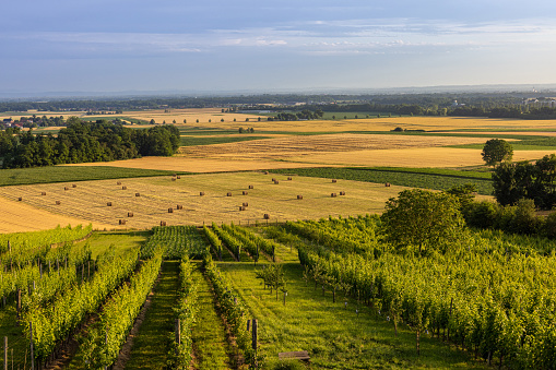 Scenic view of bales of hay on agricultural field against cloudy sky