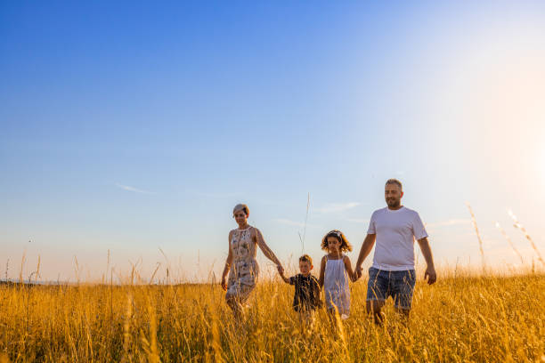 istock Family holding hands while walking together in meadow against sky 1414489385