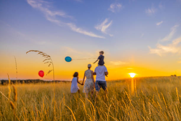 vista trasera de la familia caminando mientras explora en un campo cubierto de hierba durante la puesta de sol - baseline fotografías e imágenes de stock