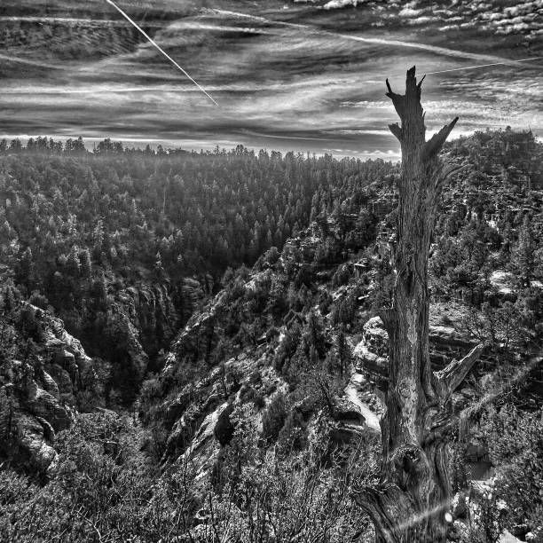 クルミキャニオン国定公園 - walnut canyon ruins ストックフォトと画像