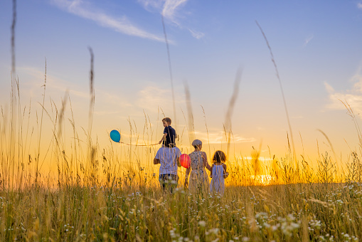 Parents and children walking amidst grassy field against sky during sunset