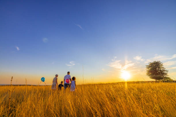 istock Family walking together while exploring grassy field against sky 1414491301