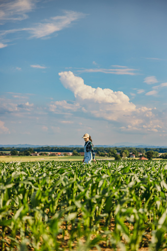 Young female farmer wearing bib overalls walking amidst corn crops in farm against sky during sunny day