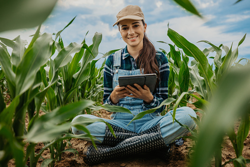 Portrait of smiling female farmer with digital tablet sitting amidst corn crops in farm