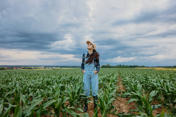 Female farmer with hands in pockets looking at cloudy sky while standing amidst crops in agricultural field