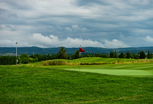 Focus scene on golf activity in golf course