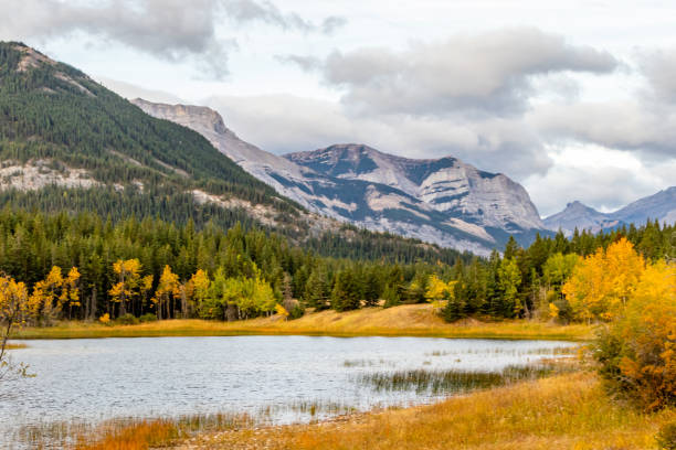 Fall colours at Middle Lake. Bow Valley Provincial Park, Alberta, Canada Fall colours at Middle Lake below the mountains. Bow Valley Provincial Park, Alberta, Canada provincial park stock pictures, royalty-free photos & images