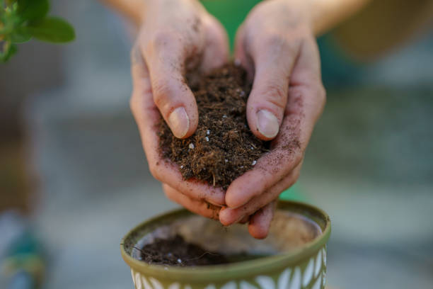 A brown, terracotta pot is waiting to be filled with potting mix and a plant.