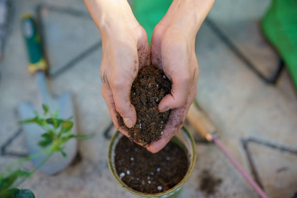 Woman taking care of plants