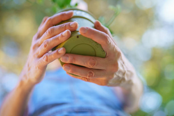Woman taking care of plants