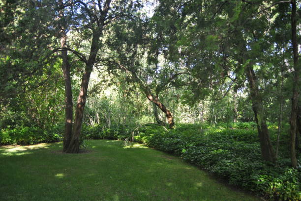 istock Capricho park in Madrid 1414502859
