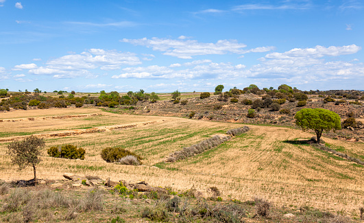 Arid rainfed fields, blue sky background with clouds.