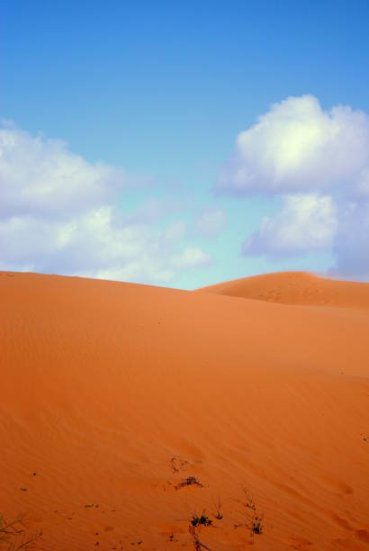 istock Sand dunes in the desert 1414510277