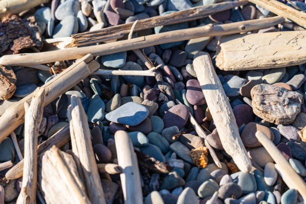 istock Rocks, twigs and driftwood, close up, on a rocky beach, in selective focus 1414520942