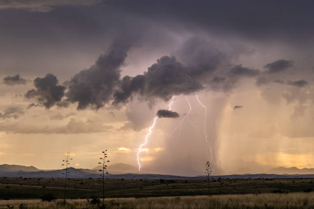 Sunset Lightning during Monsoon Storm Lightning strikes during a monsoon storm southeast of Sonoita, Arizona just before sunset. Microburst stock pictures, royalty-free photos & images