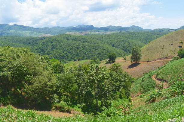 istock Phay That Pu Chae, Thailand, Landscape 5 1414530861