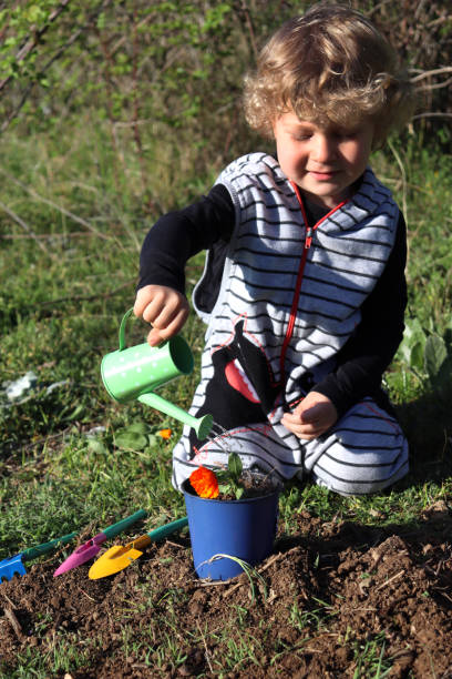 istock Blond boy watering flowers 1414532618