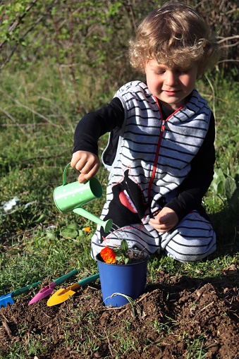 Blond boy watering flowers