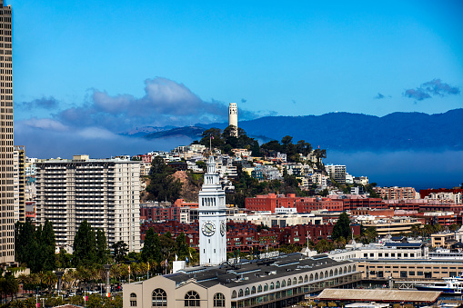 Sky line view of city during day.  Image includes Coit tower over city with pier's clock tower centered in photo.  Rich blue sky with marine layer in background.