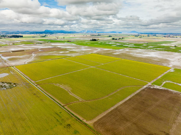 istock Fields planted with Crops and Freshly Tilled 1414533779