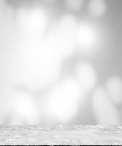 istock Background Studio Room with wall shadow leaves plant. 1414535343