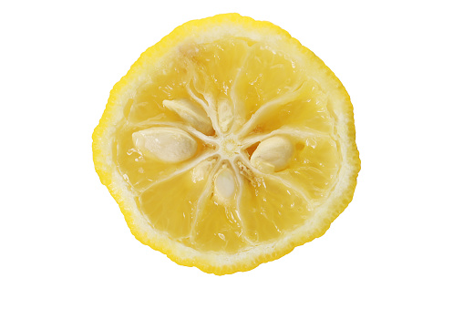 ripe yellow yuzu fruits isolated on a white background