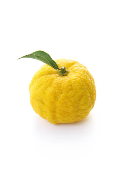 yuzu-fruits-isolated-on-a-