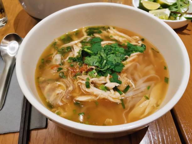 nouilles au poulet vietnamiennes - noodle soup photos et images de collection