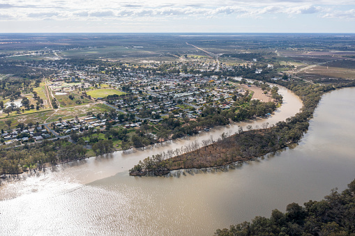 Muddy Flood waters from the  Darling river merge with the mighty Murray river at the town of Wentworth, New South Wales.