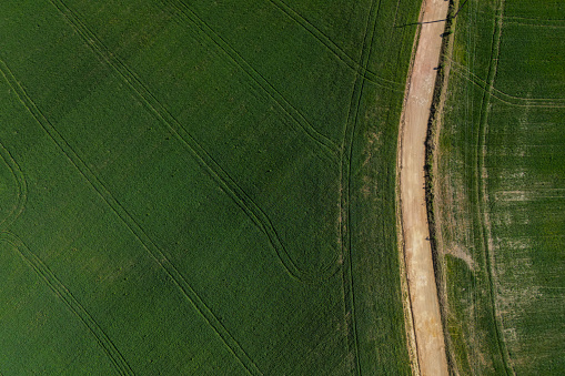 Crop seen from above with drone
