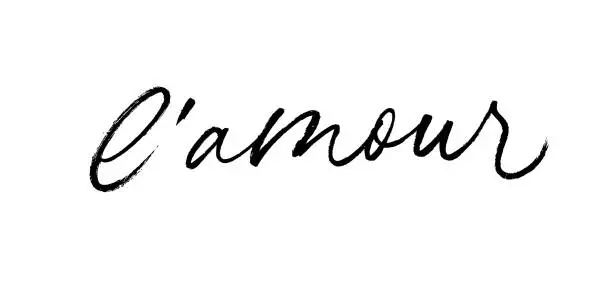 Vector illustration of L'amour modern brush calligraphy.