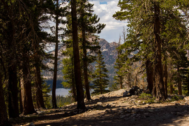 Waterfalls, Lakes, and streams seen throughout the eastern sierra mountains in California. Pictures taken hiking in Mammoth and Bishop, California.