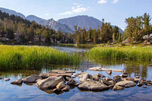 istock Lakes and Streams of the Eastern Sierras 1414548450