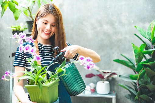 Beautiful cute female asian Gardeners are preparing small planters.Hobby of plant, gardening or houseplants of in the greenhouse.Online selling.
