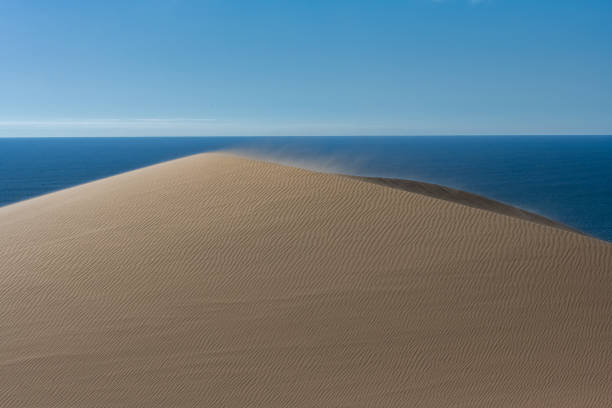 Namibia, the Namib desert, landscape of yellow dunes falling into the sea