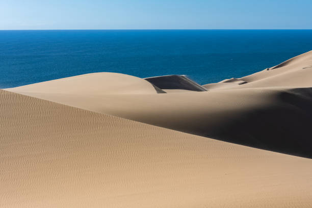 istock Namibia, the Namib desert 1414555248