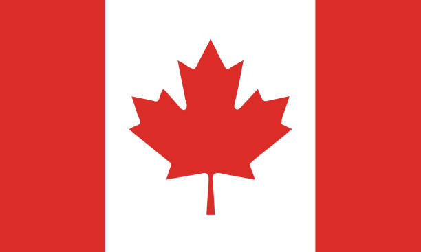 vektorillustration der kanadischen flagge. offizielle nationalflagge von kanada von nordamerika. - front or back yard landscaped patio house stock-grafiken, -clipart, -cartoons und -symbole
