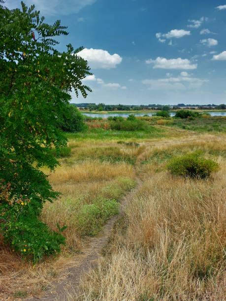 istock Footpath into grasslands by the Elbe river 1414561979