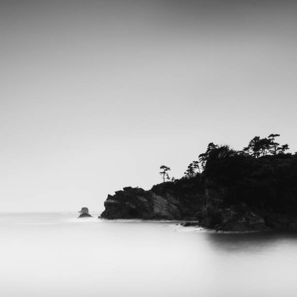 longa exposição de pilhas de mar e água, prefeitura de shizuoka, japão - black and white landscape square long exposure - fotografias e filmes do acervo