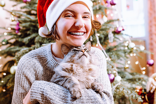 happy smiling teenage girl, in Christmas cap, sits near decorated Christmas tree with beloved gray fluffy cat in arms, hugging. Christmas eve, pre-holiday card of teenager with pet