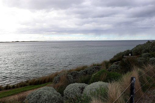 Torquay town in Australia has a very beautiful view of open sea with trees all along the beach.