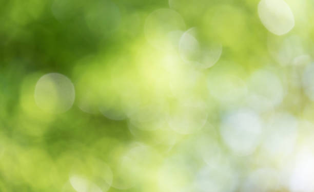 istock Natural bokeh and background blur 1414566398