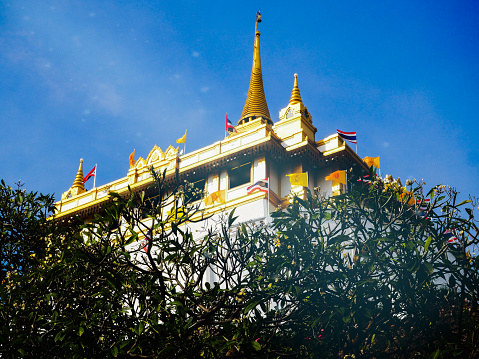 Golden mountain relics, gray-white, green leaves and turquoise-silver-gray-white sky, yes as a background.