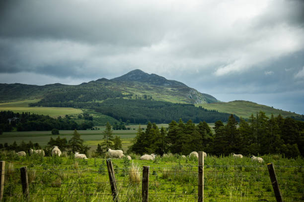 istock Road trip to Scotland 1414574300