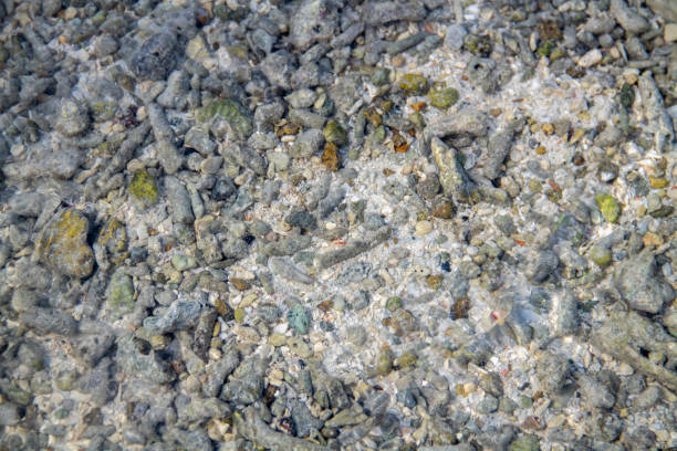 istock Rocks in the sand 1414574409